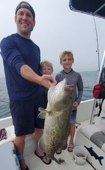 Gag Grouper Fishing in St. Petersburg, Florida