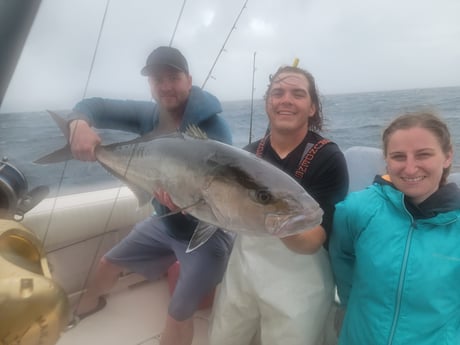 Amberjack fishing in Clearwater, Florida