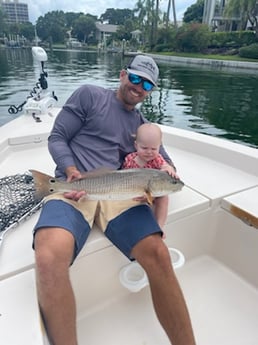 Redfish fishing in Sarasota, Florida