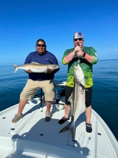 Cobia Fishing in Key West, Florida