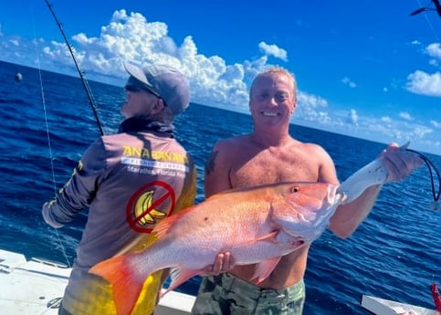 Mutton Snapper Fishing in Marathon, Florida