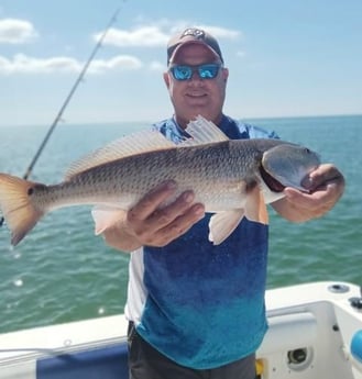 Redfish Fishing in Clearwater, Florida