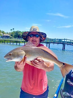 Snook fishing in Sarasota, Florida