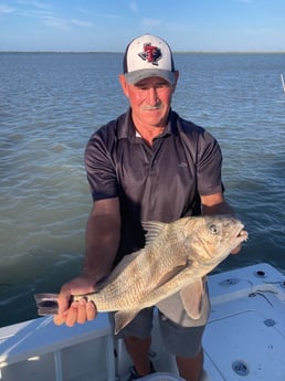 Black Drum Fishing in South Padre Island, Texas