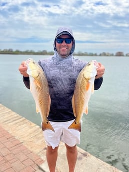 Redfish Fishing in Galveston, Texas