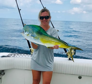 Mahi Mahi / Dorado fishing in Orange Beach, Alabama