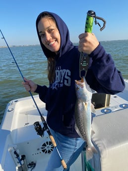 Speckled Trout / Spotted Seatrout fishing in Galveston, Texas