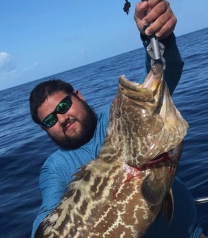 Black Grouper Fishing in Key Largo, Florida