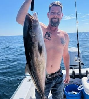 Amberjack Fishing in Pensacola, Florida