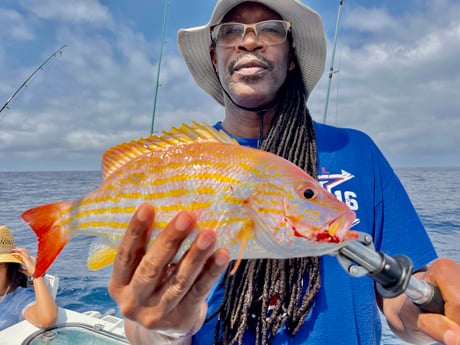 Lane Snapper fishing in St. Augustine, Florida