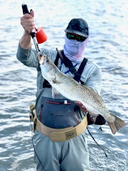 Speckled Trout / Spotted Seatrout fishing in Port O&#039;connor, Texas