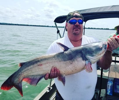 Blue Catfish fishing in Dallas, Texas