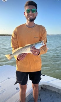 Speckled Trout / Spotted Seatrout fishing in South Padre Island, Texas