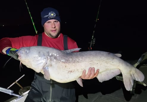 Blue Catfish fishing in Dallas, Texas