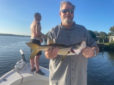 Snook Fishing in Tampa, Florida