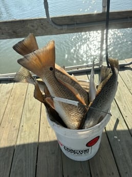 Fishing in Port Aransas, Texas