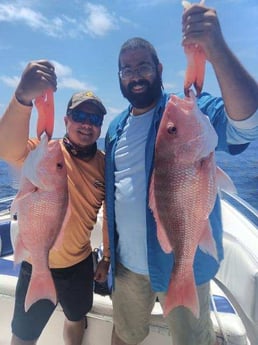 Red Snapper Fishing in Clearwater, Florida