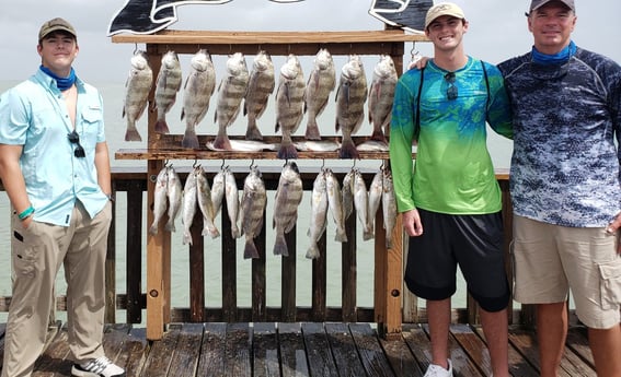 Black Drum, Speckled Trout / Spotted Seatrout fishing in Port Isabel, Texas