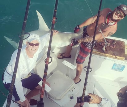 Hammerhead Shark fishing in Key West, Florida