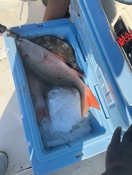 Fishing in Key Largo, Florida