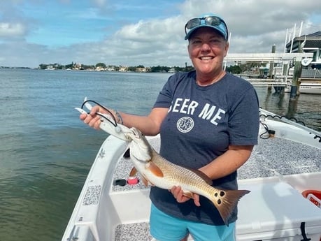 Redfish Fishing in Sarasota, Florida