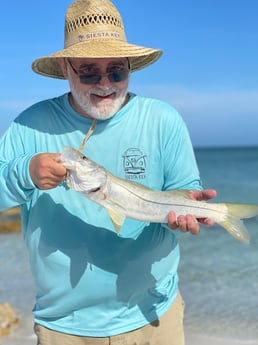 Fishing in Sarasota, Florida