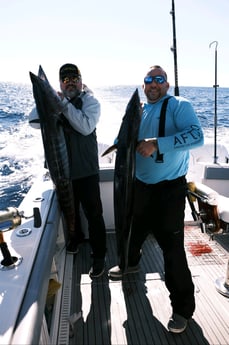 Wahoo Fishing in Galveston, Texas