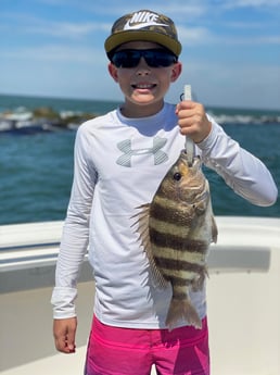 Sheepshead fishing in Galveston, Texas