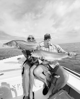 Redfish, Snook fishing in Key West, Florida