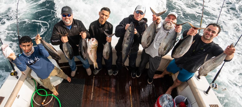 Blackfin Tuna, Tilefish, Wahoo fishing in Galveston, Texas