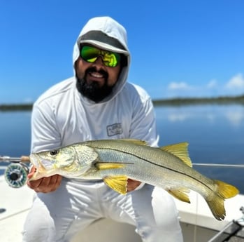 Snook Fishing in Islamorada, Florida