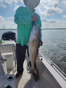 Redfish Fishing in Galveston, Texas