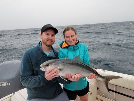 Amberjack fishing in Clearwater, Florida