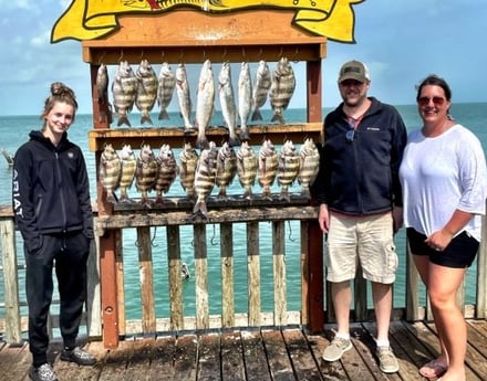 Black Drum, Sheepshead, Speckled Trout Fishing in South Padre Island, Texas