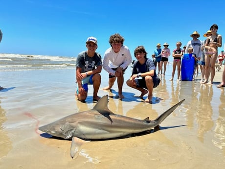 Bull Shark Fishing in Corpus Christi, Texas