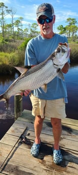 Tarpon Fishing in Orange Beach, Alabama