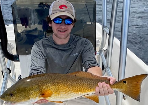 Redfish fishing in Panama City, Florida