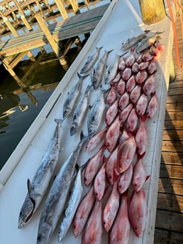 Fishing in Gulf Shores, Alabama