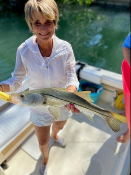 Snook fishing in Sarasota, Florida