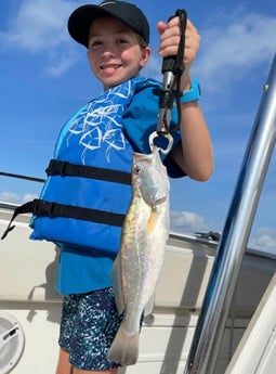 Speckled Trout / Spotted Seatrout fishing in South Padre Island, Texas