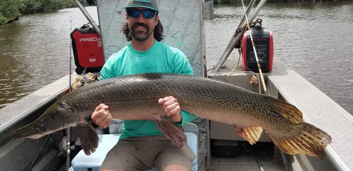 Alligator Gar fishing in Livingston, Texas