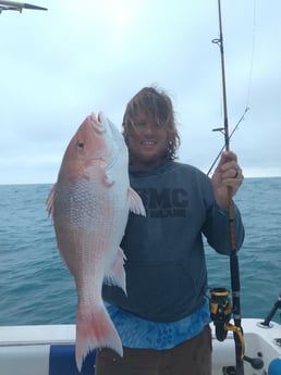 Red Snapper fishing in Clearwater, Florida