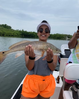 Redfish fishing in Clearwater, Florida