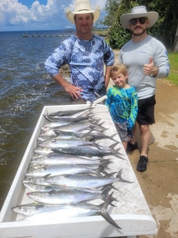 Ladyfish, Spanish Mackerel fishing in Santa Rosa Beach, Florida