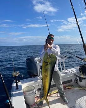 Mahi Mahi / Dorado Fishing in Santa Rosa Beach, Florida