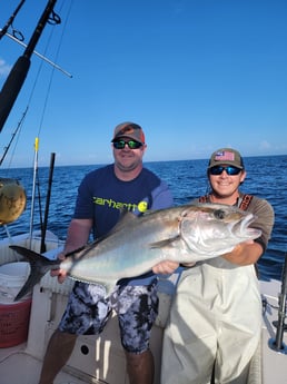 Amberjack fishing in Clearwater, Florida