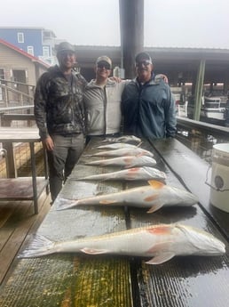 Black Drum, Redfish Fishing in Galveston, Texas