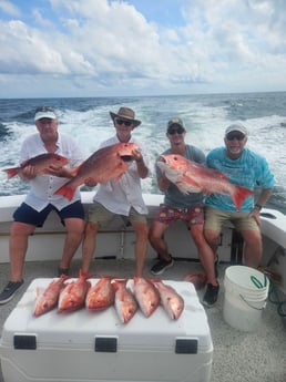 Fishing in Orange Beach, Alabama