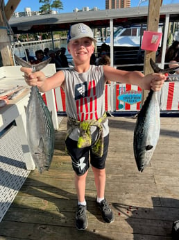 False Albacore Fishing in Orange Beach, Alabama