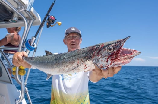 Kingfish Fishing in Boynton Beach, Florida